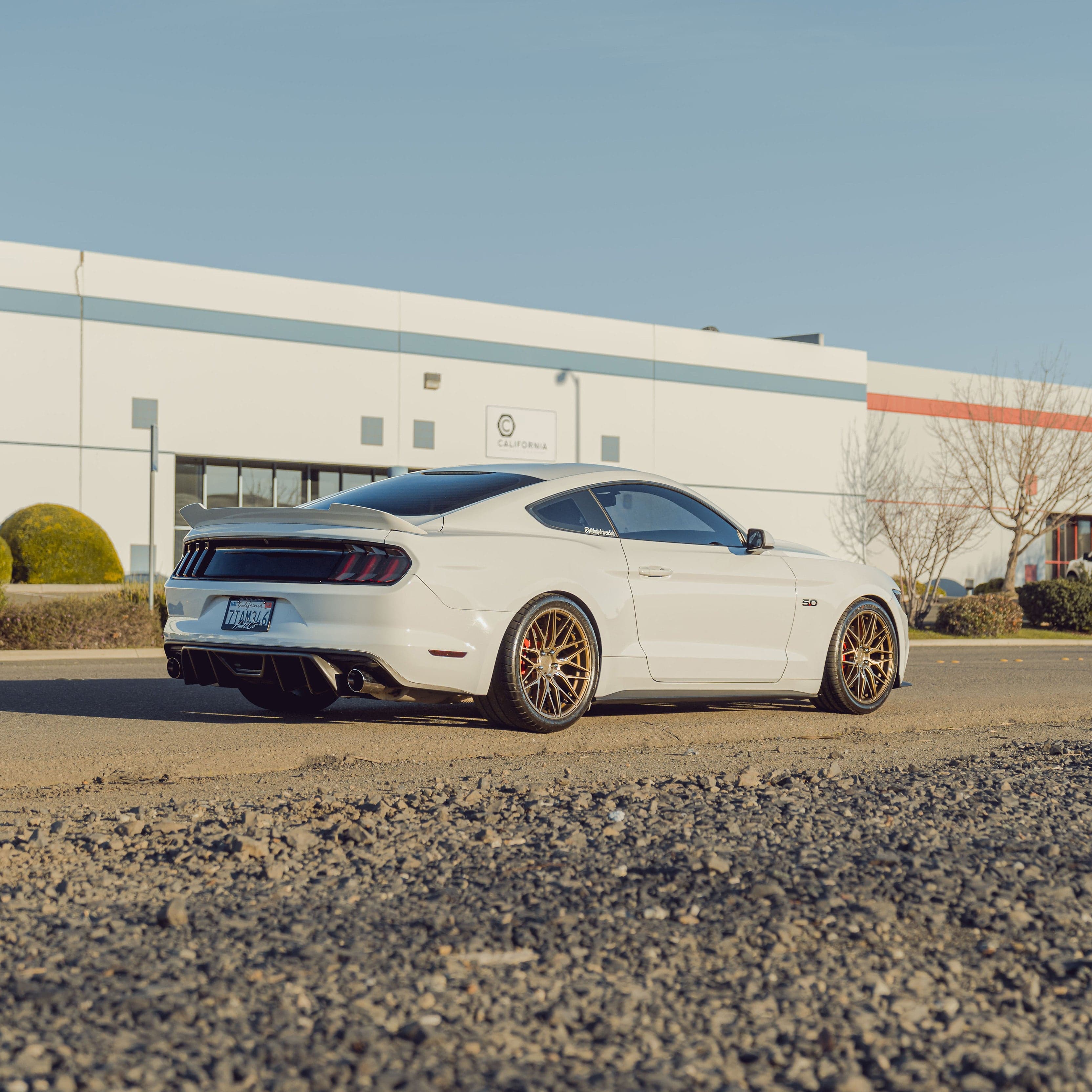 F103 Brushed Bronze